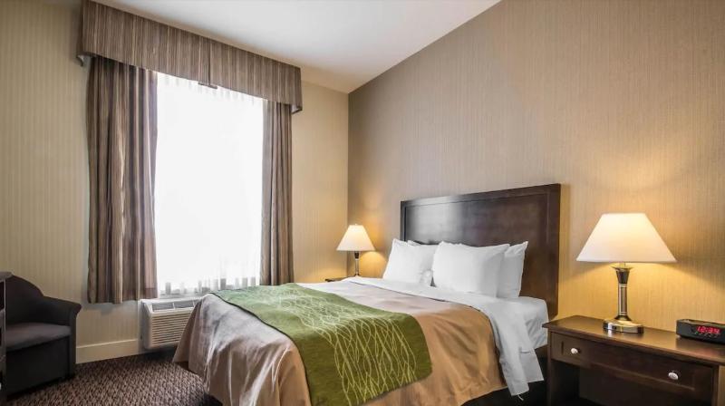 Comfort Inn & Suites Surrey Luaran gambar